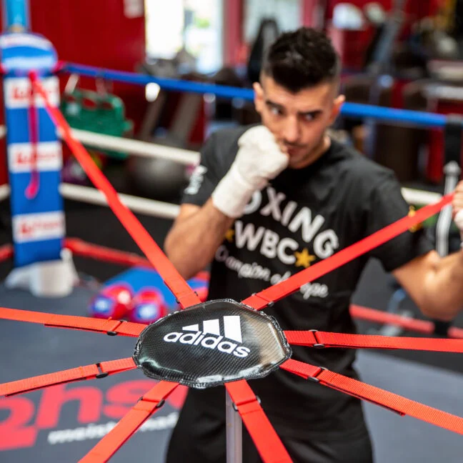 Adidas Boxing Ring Dodging System - Image 2