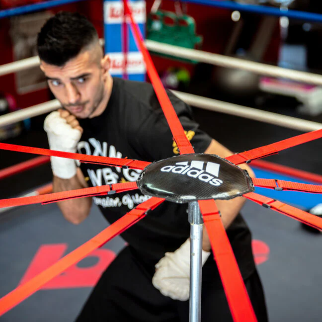 Adidas Boxing Ring Dodging System - Image 3