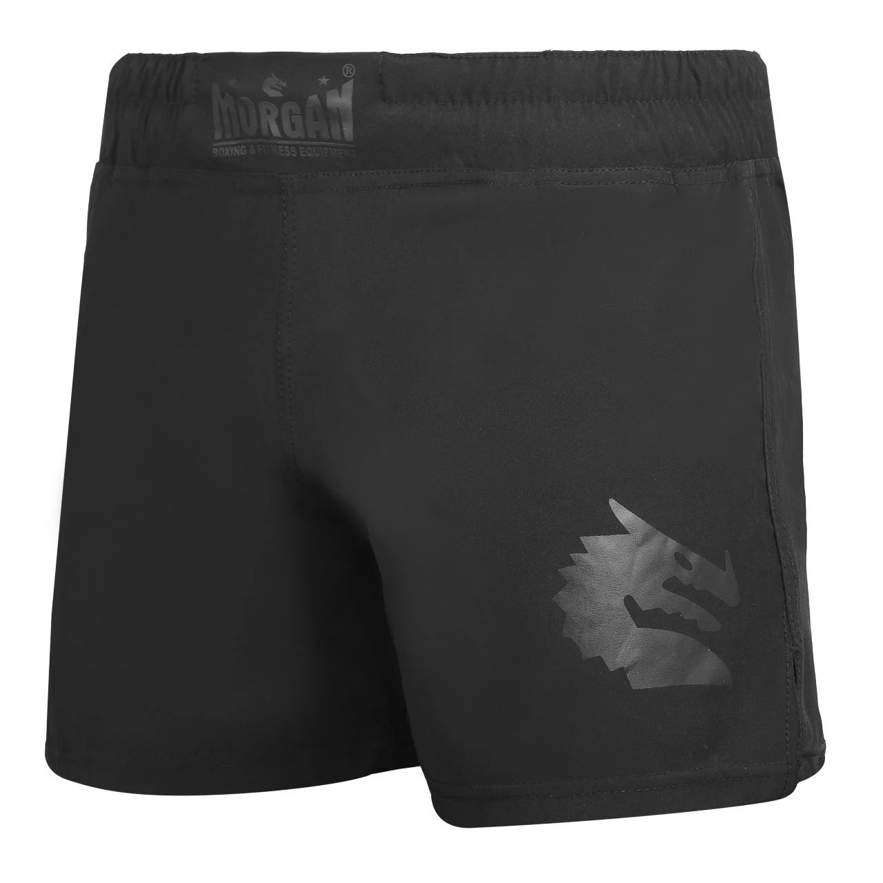 Morgan B2 Bomber Longsleeve Rashguard + MMA Shorts Set - Image 4
