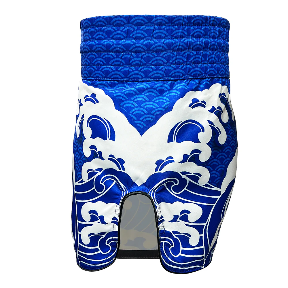 Namazu Koi Fish Muay Thai Shorts Blue - Image 6