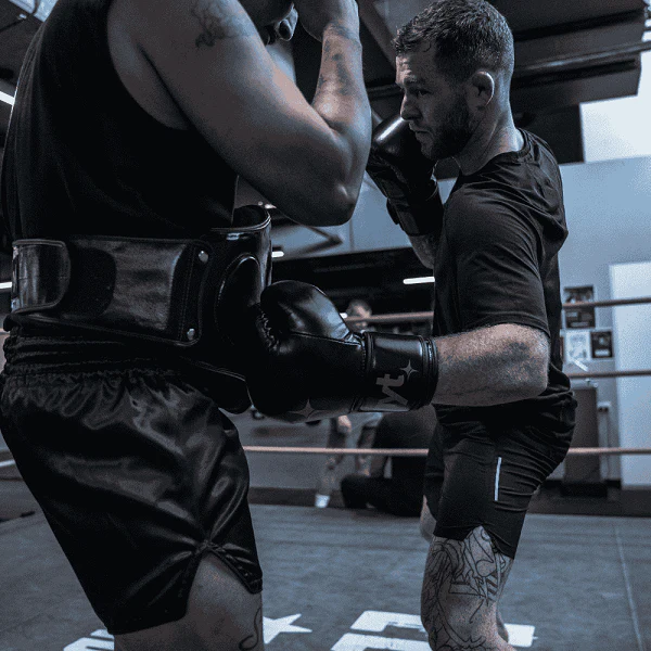 NYT Muay Thai Belly Pad - Image 3