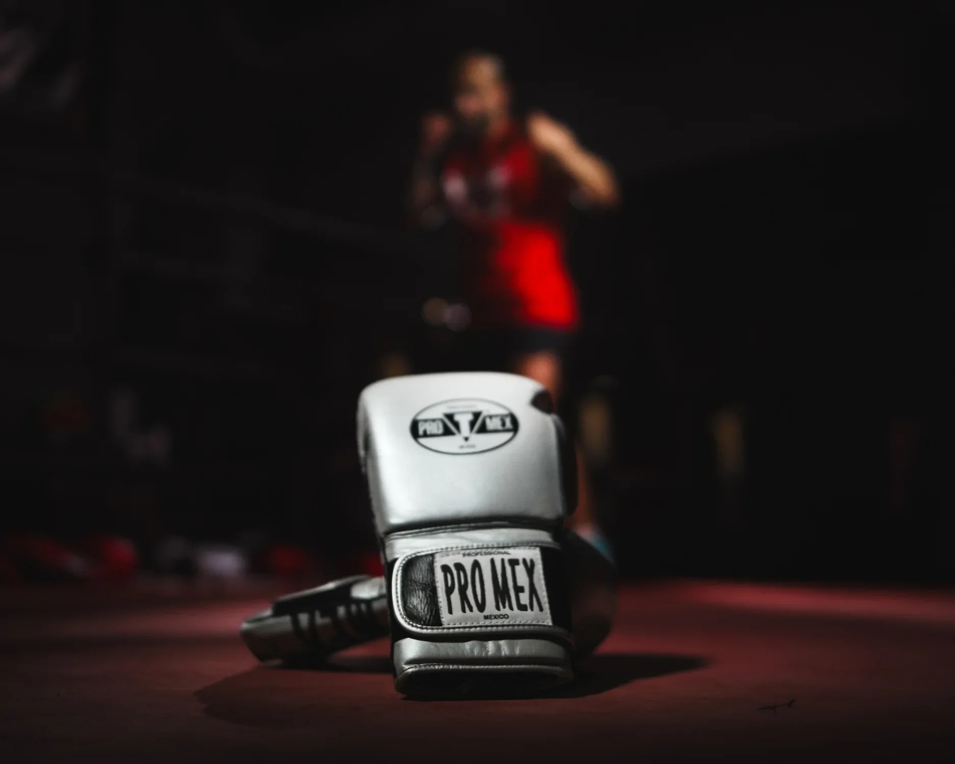 Pro Mex Professional Edge Boxing Gloves - Silver - Image 6