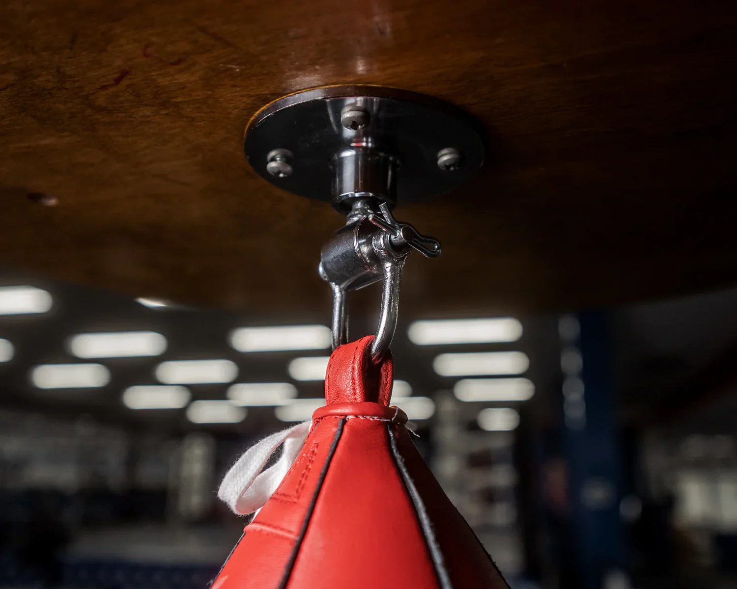 TITLE Boxing Deluxe Pro Speedball Swivel - Image 2