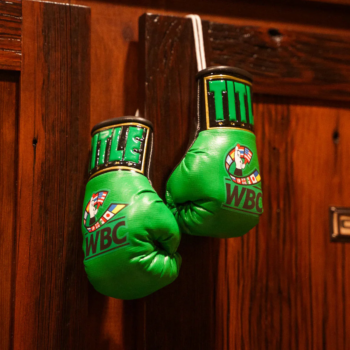 Title WBC Mini Boxing Gloves - Image 3