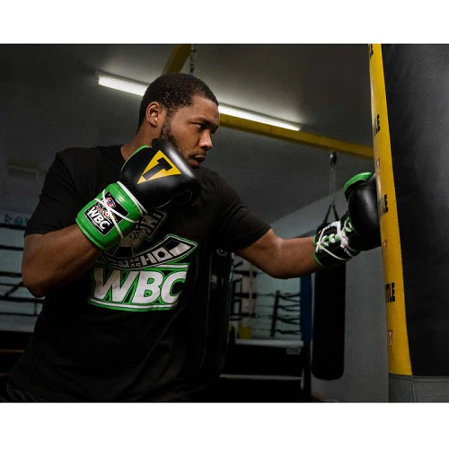 Title Boxing WBC Sparring Gloves - Image 4