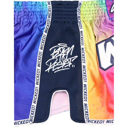 Wicked One Rainbow Muay Thai Shorts - Image 4